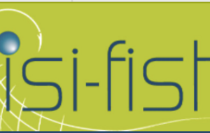 Isifish, sponsor des nouveaux sacs de l'Ecole de golf