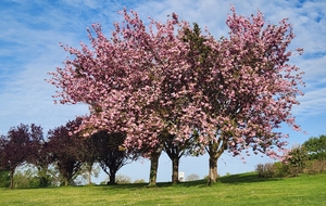 Shotgun Seniors du 10 avril