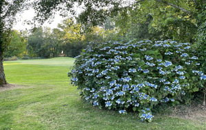 Coupe des Jardiniers
